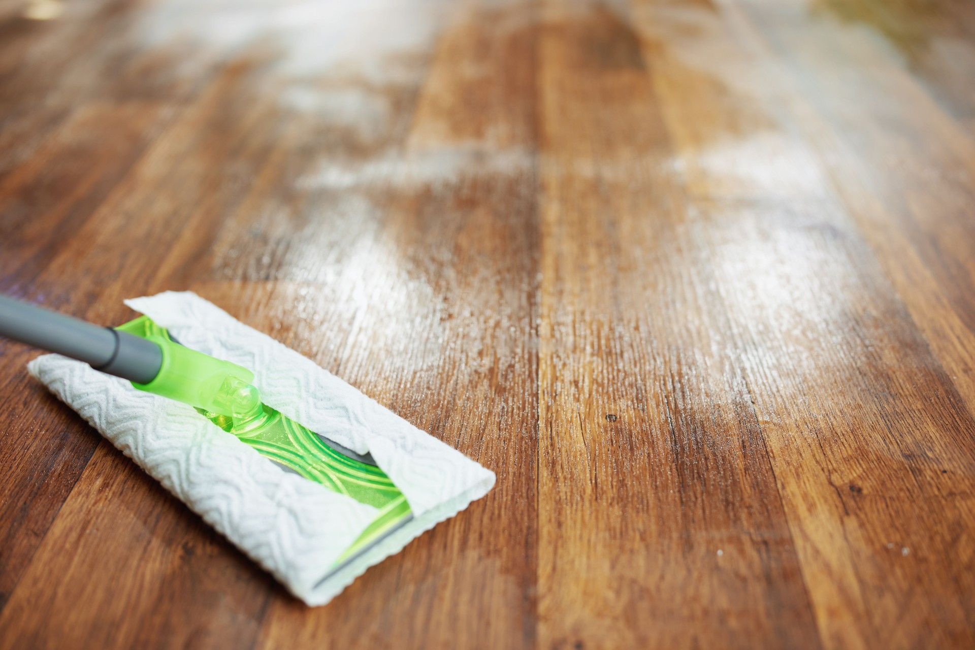 Closeup on mop and wet floor at modern home in sunny day